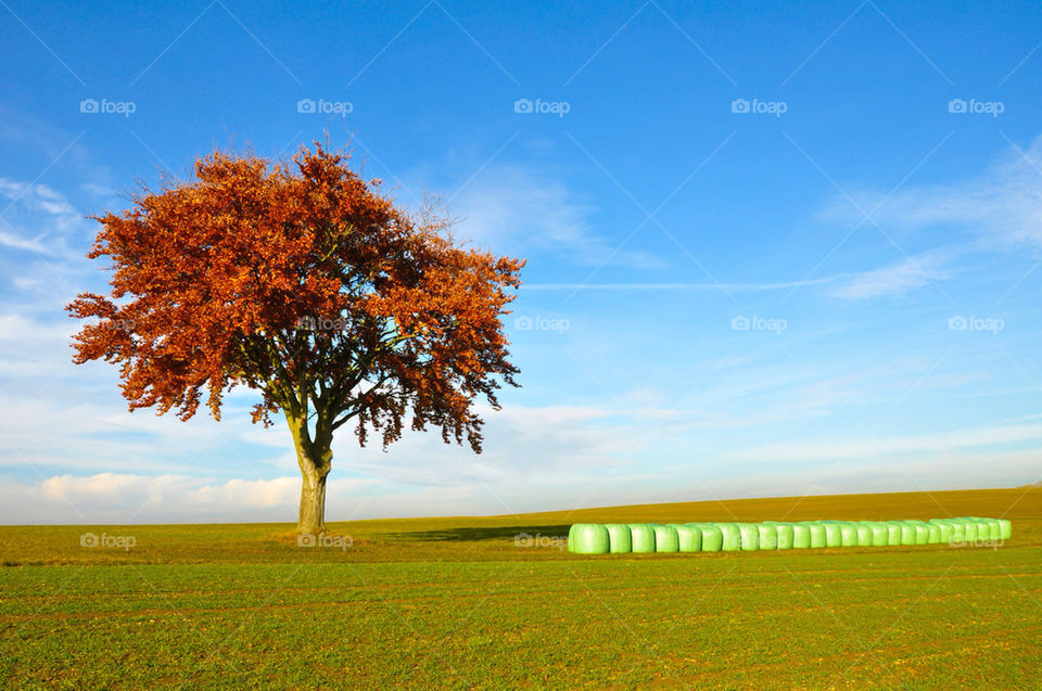 landscape sky field farmland by kbuntu