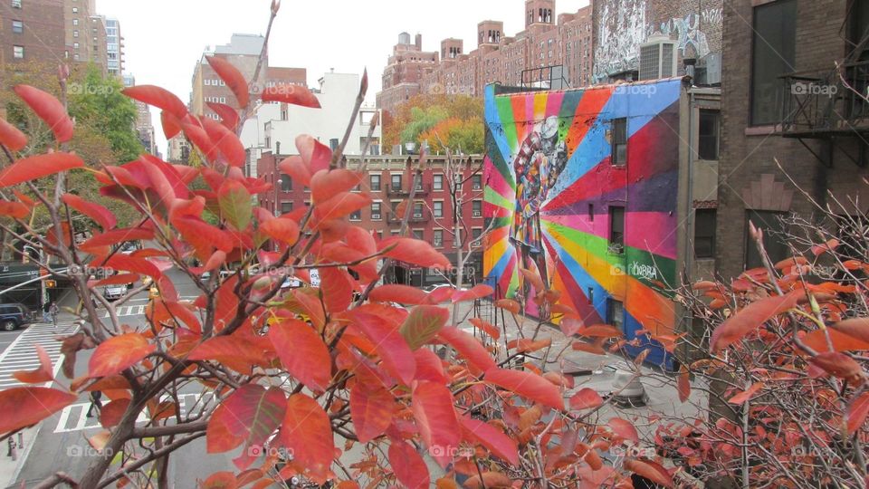Urban Graffiti in the Background of Beautiful Autumn Leaves in the City
