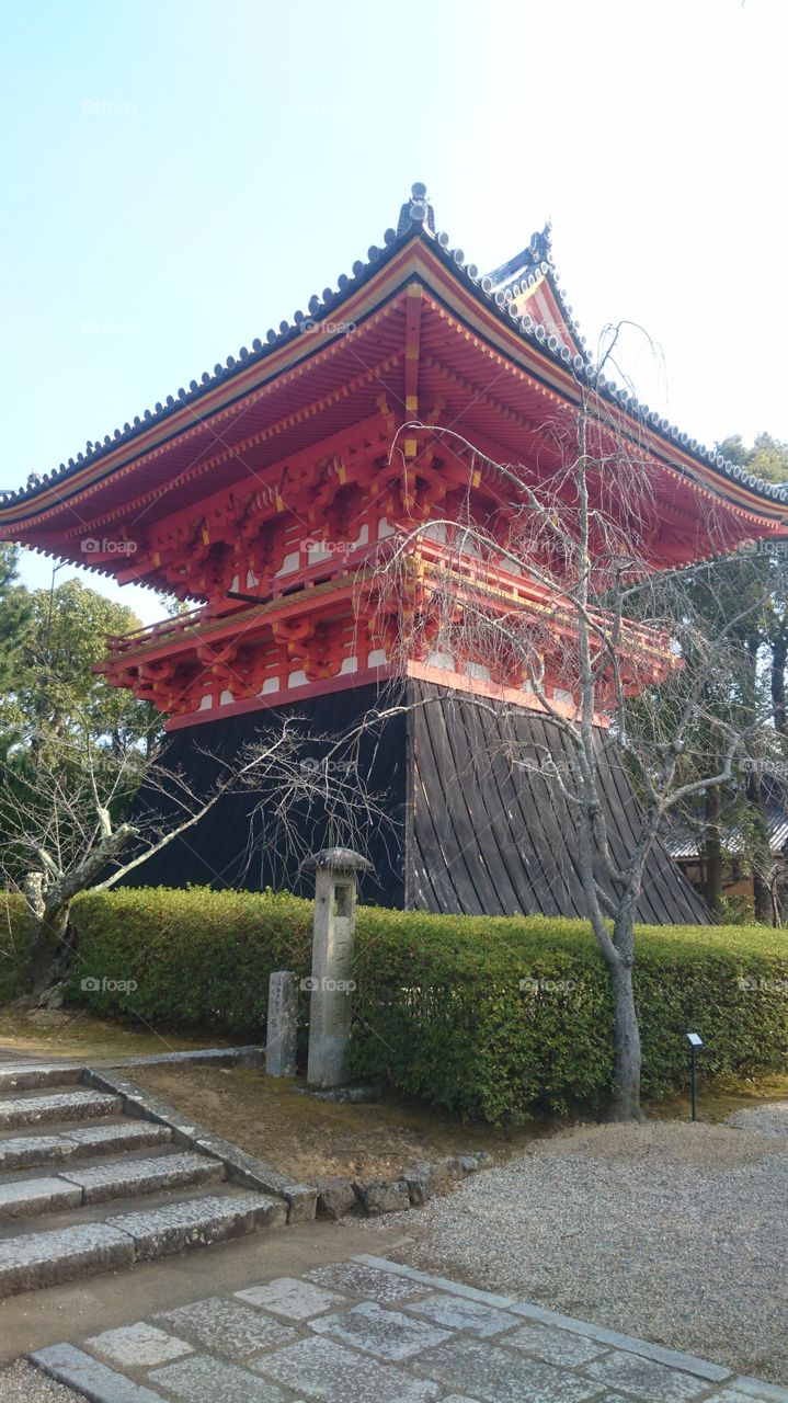 It's Ninnaji temple in Kyoto. It's world heritage. Ninnaji is very beautiful and famous temple in Kyoto. It was taken in spring.