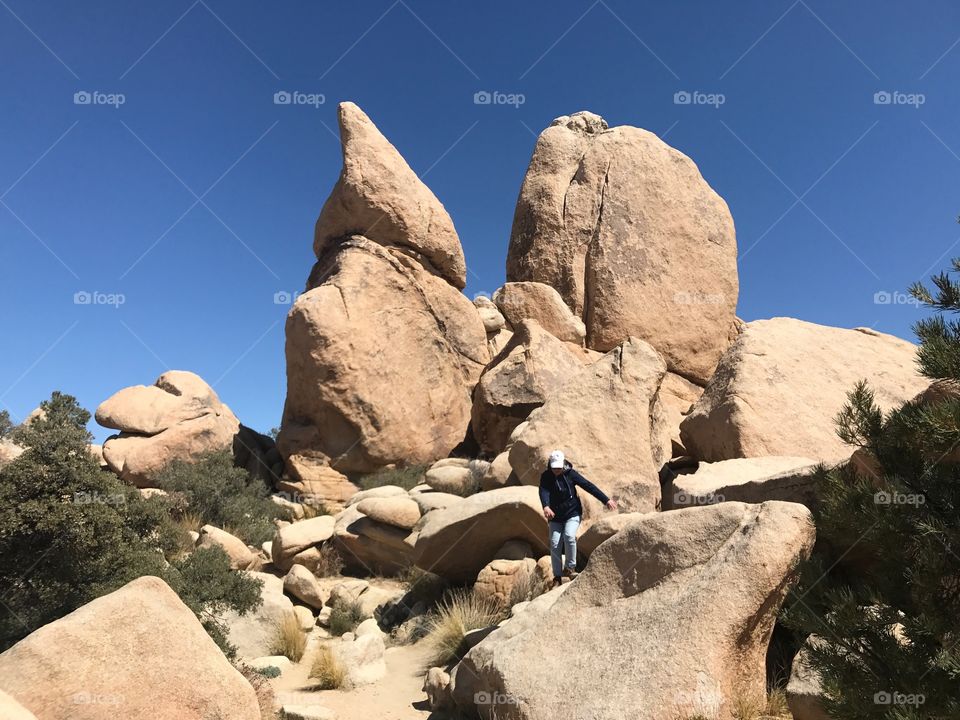 joshua tree park nature