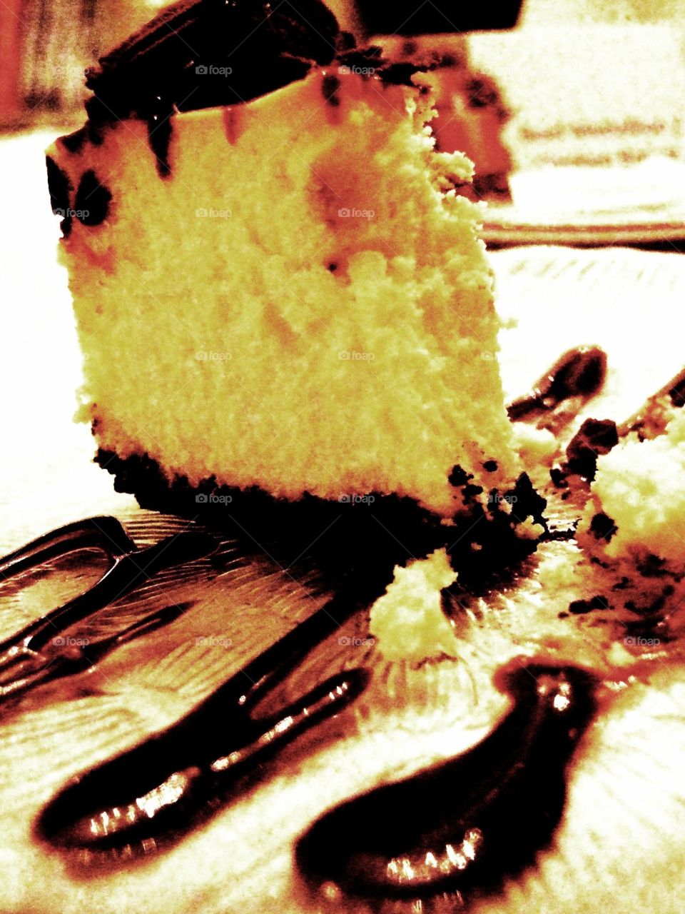 Chocolate covered cheesecake