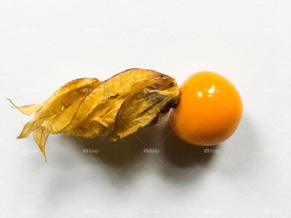 Close up of a cape gooseberry, commonly referred to as physalis