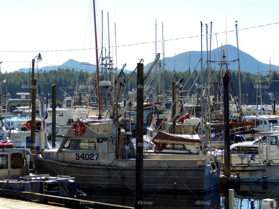 Sailboats in an Alaskan harbor. Boats in Alaska in a harbor