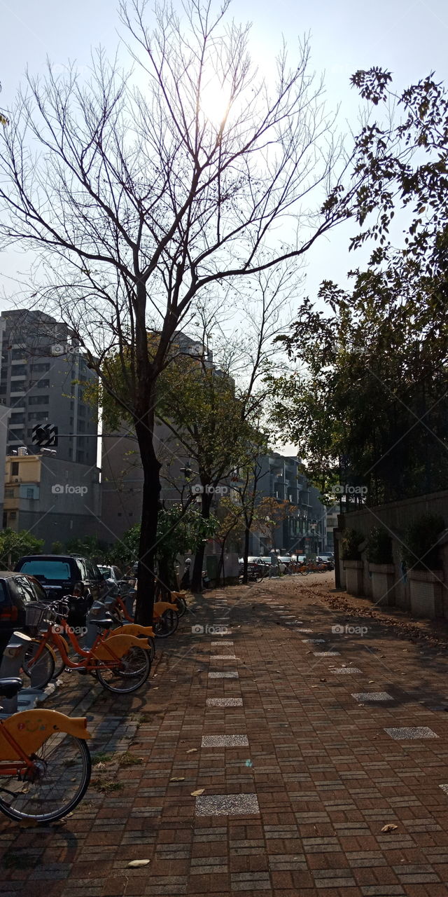 what do you do on spring?