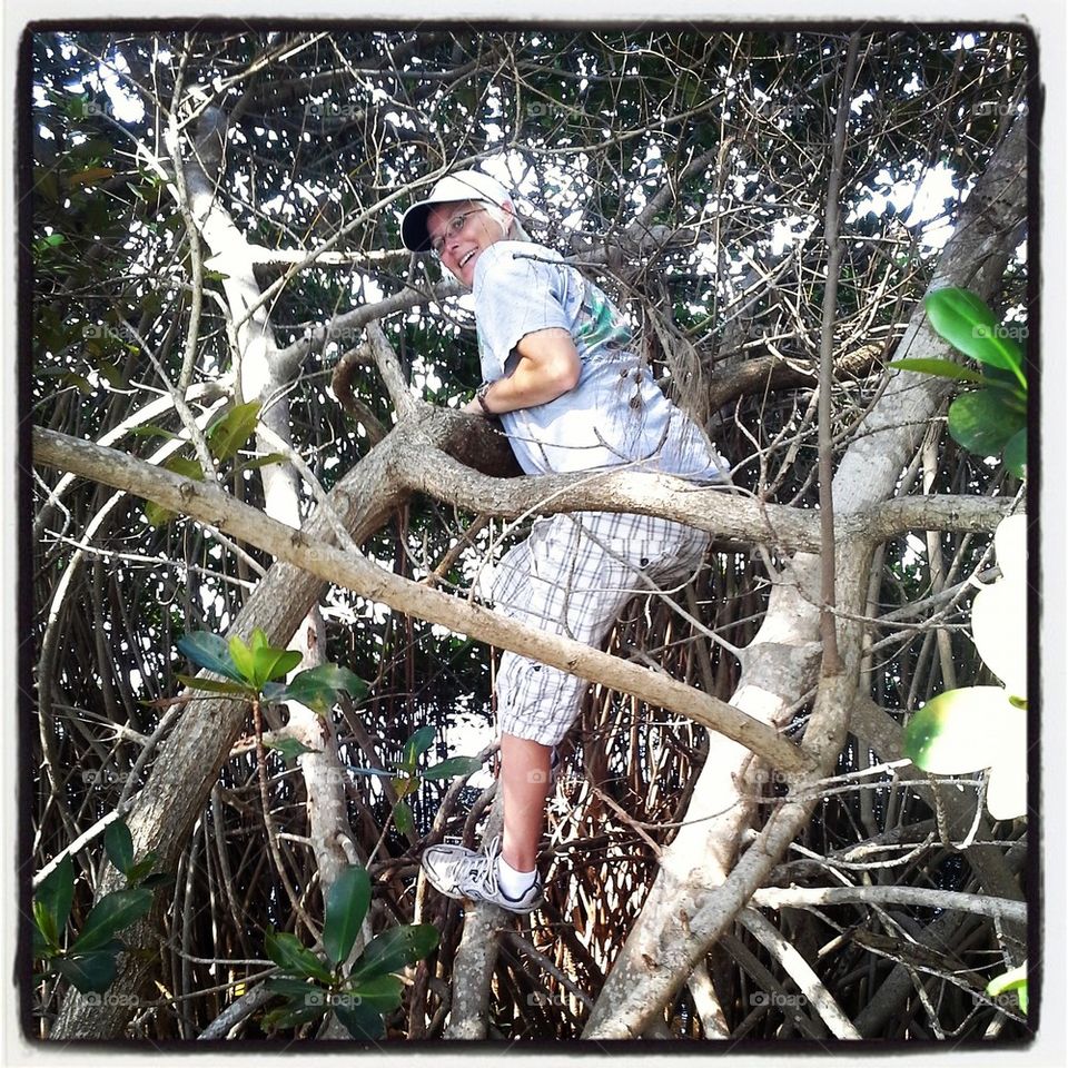Climbing in Mangroves