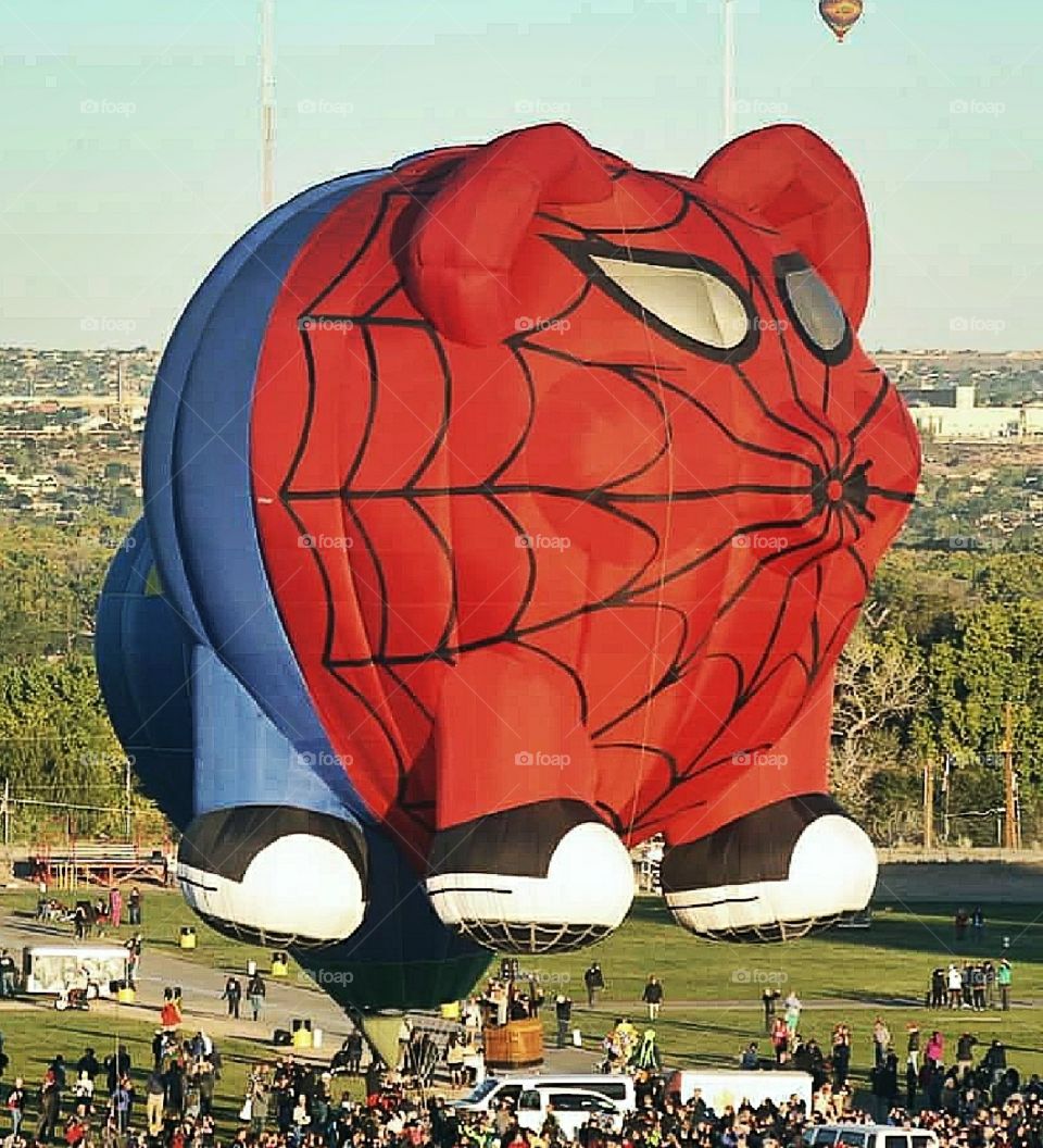 Spyder Pig Balloon