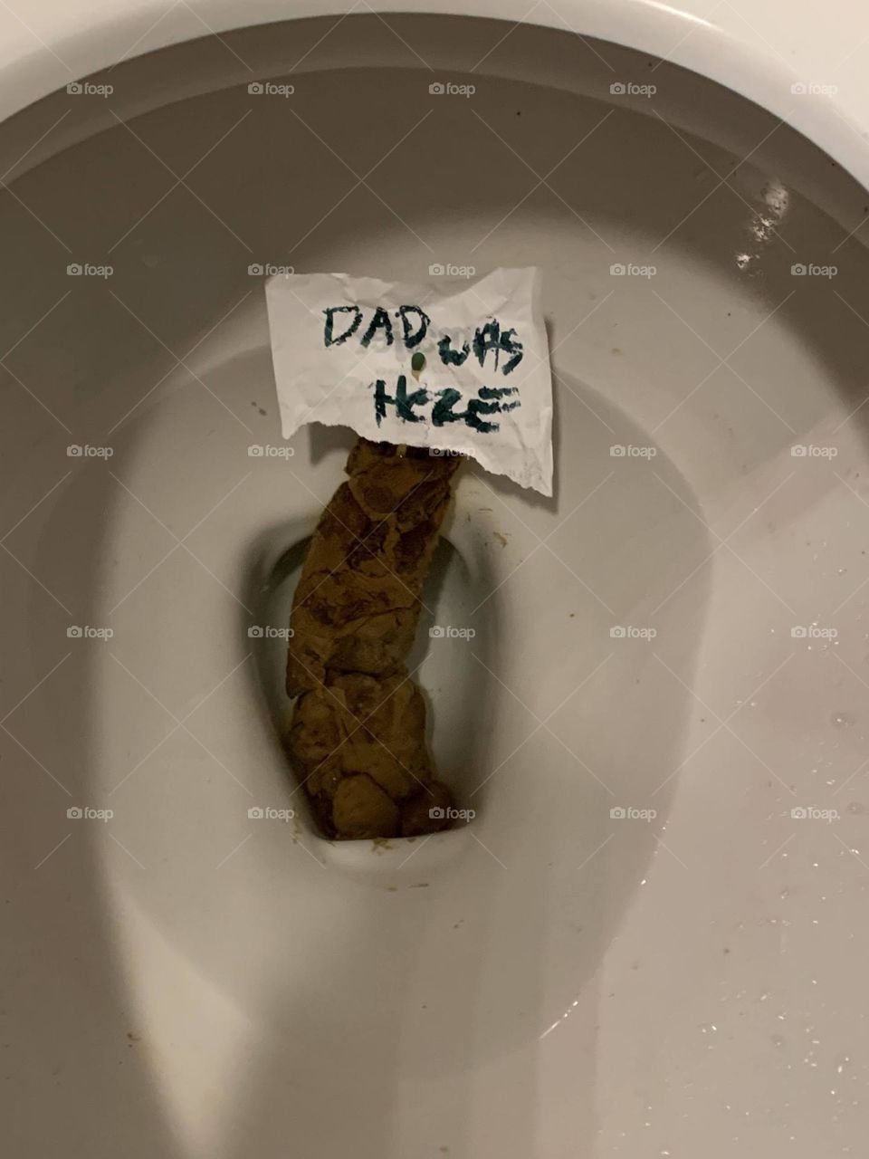 healthy poop
giant poop
dad's big poop
adult feces
dad s*** in the toilet
dad's poop was here