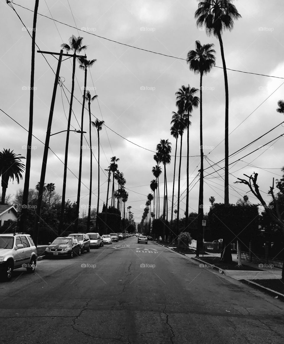 LA Street