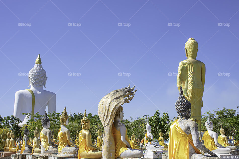 Behind the statue of Buddha  covered in yellow cloth Background sky at Wat Phai Rong Wua , Suphan Buri in Thailand.