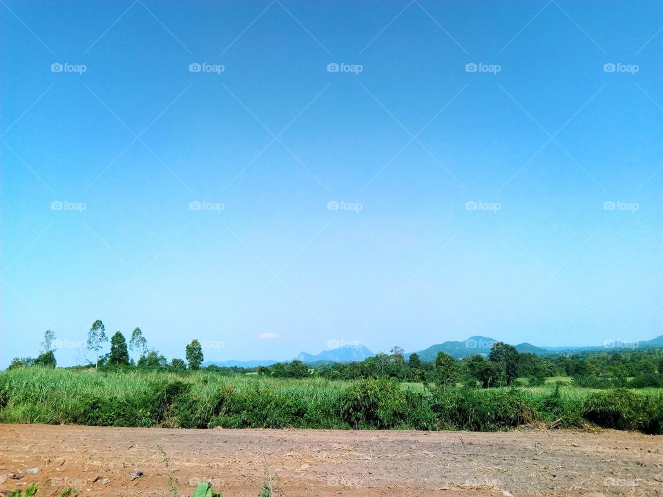 farmland,sky,field
