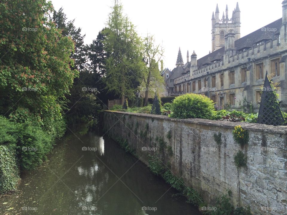Addison’s Walk- Magdalen College, Oxford