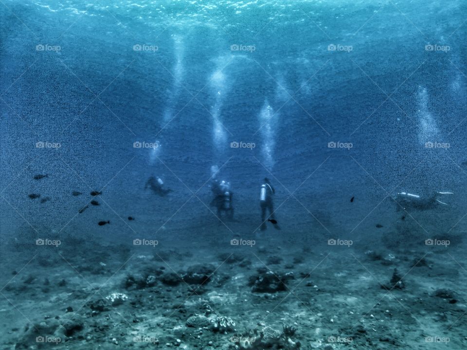 Underwater, Water, Water Sports, Ocean, Sea