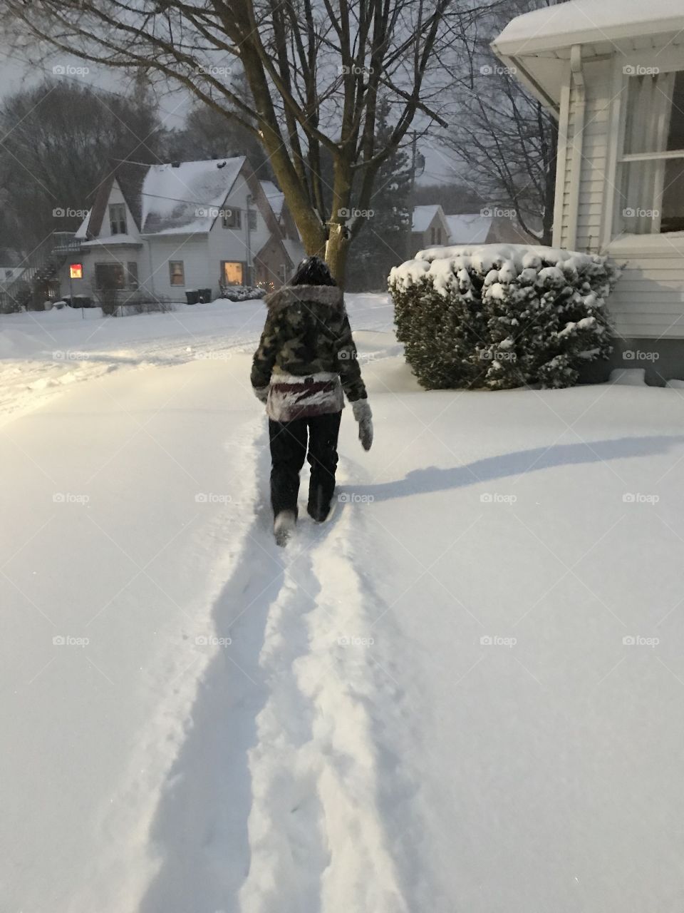 Taking a walk in the snow 