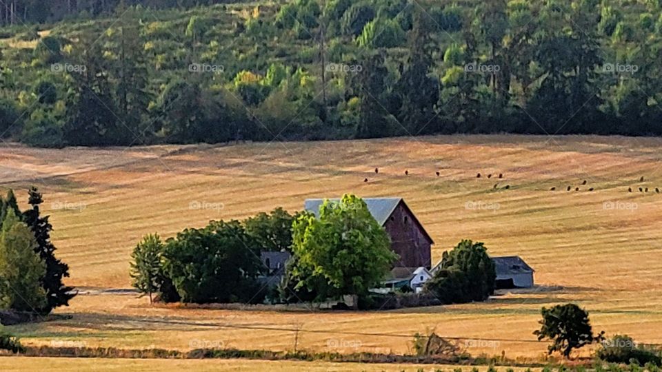 little house on the prairy