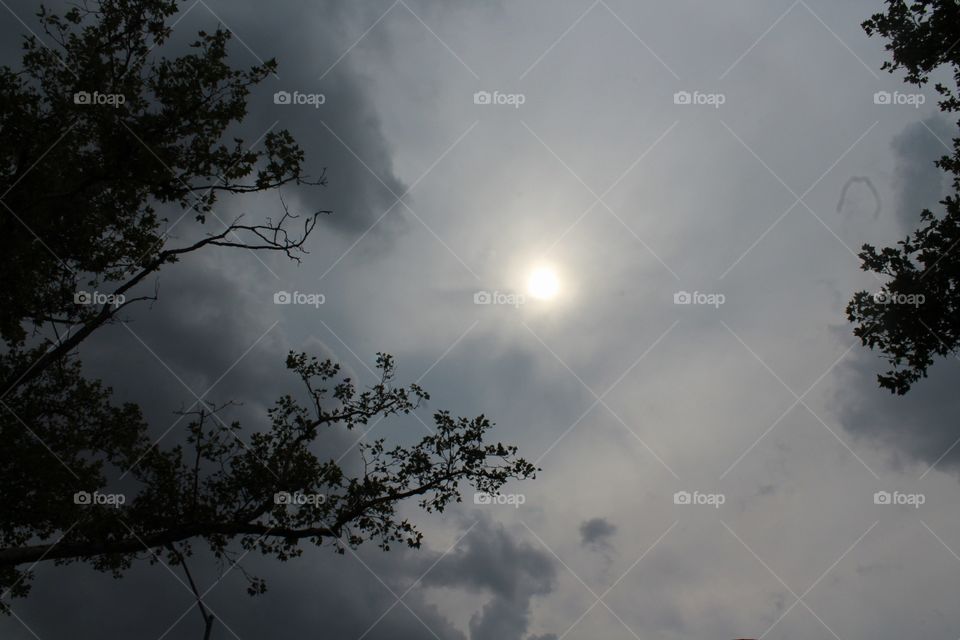 Sky, Sun, Nature, Landscape, Tree