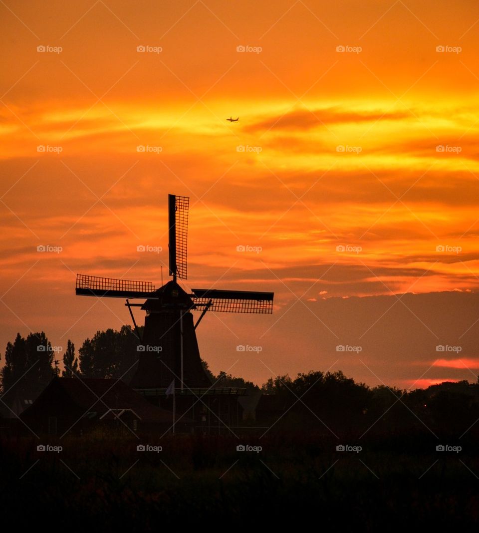 Wind farm 