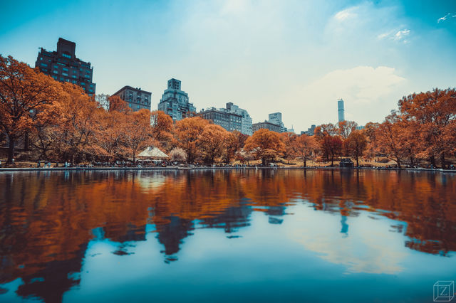 No Person, Water, Outdoors, Tree, Reflection