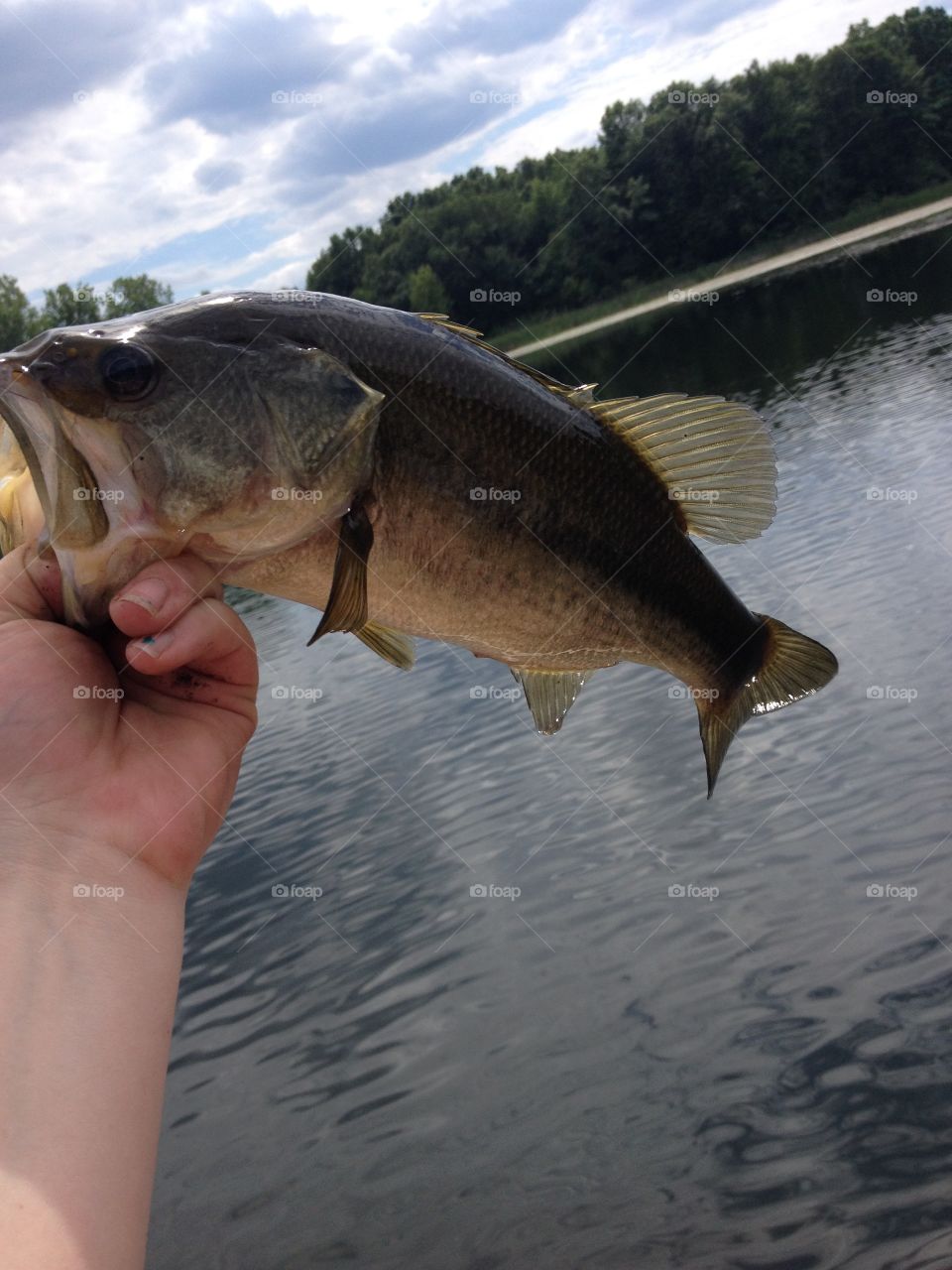 Fish caught in Michigan