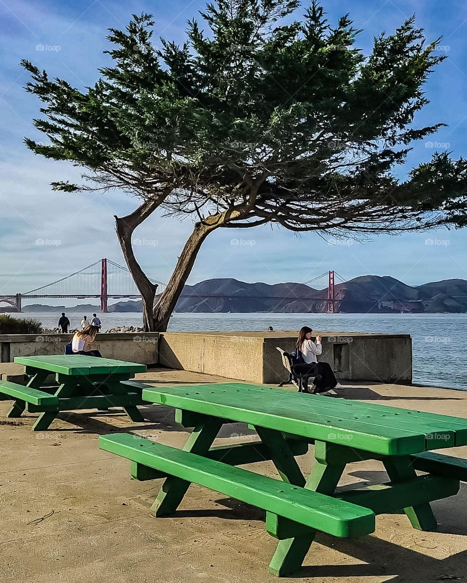 Viewing area of the San Francisco Bay and the Golden Gate Bridge at the St. Francis Yacht Club, vibrant green picnic tables 