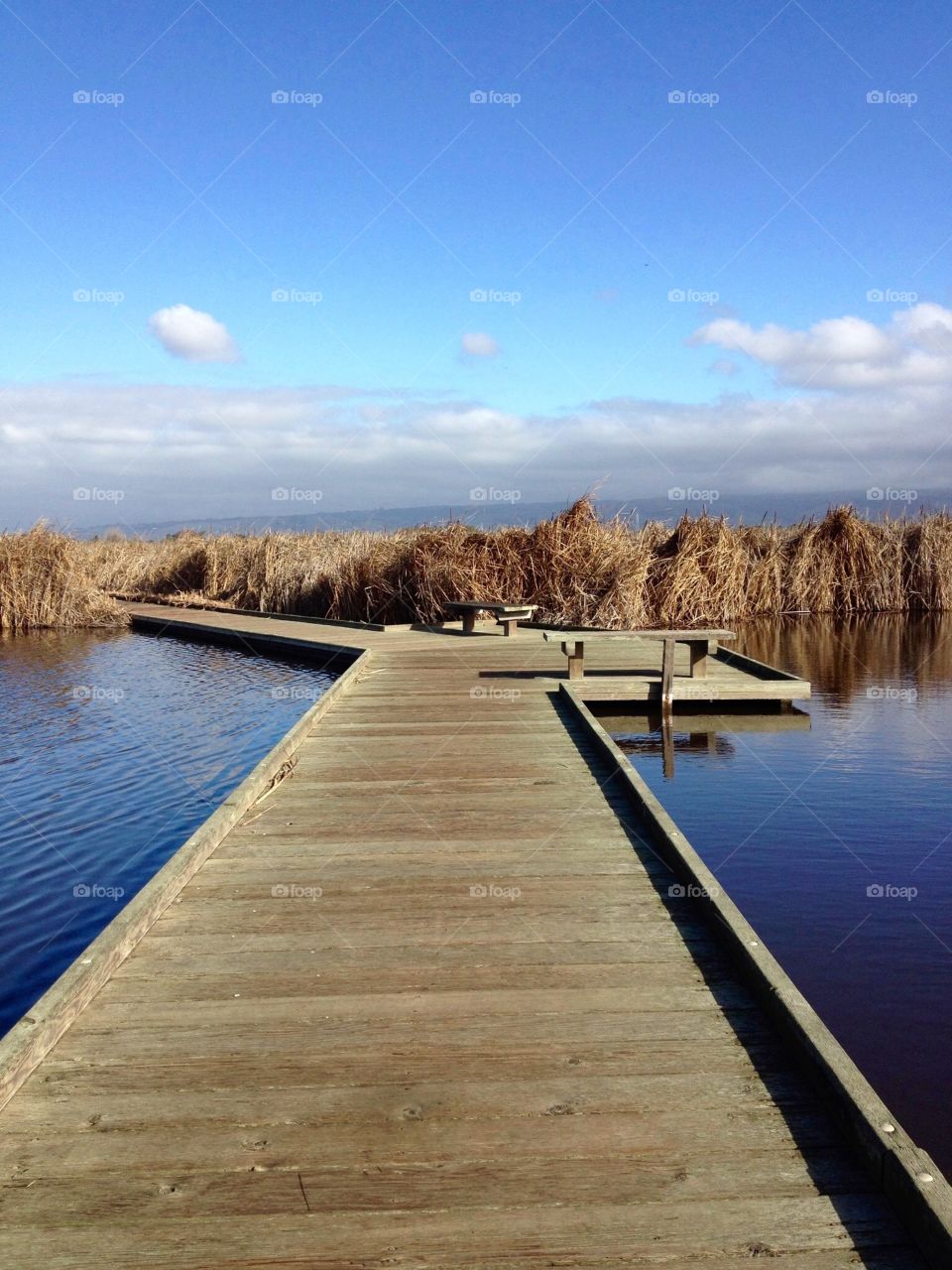 Wooden water bridge