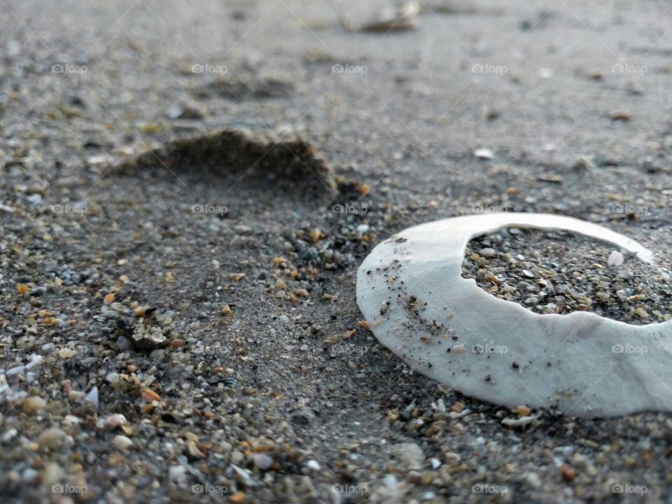 Sand, shells and sand