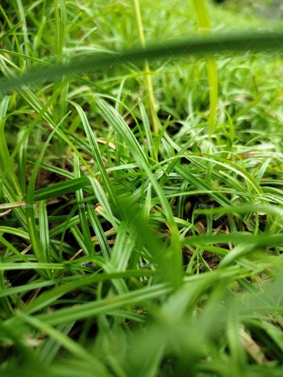 This beautiful doesn't need any filter