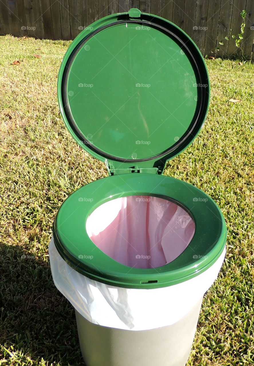 Green toilet