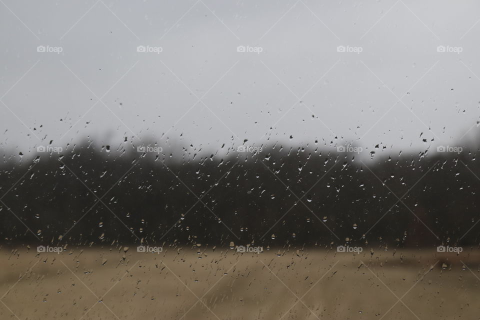 A cold wet autumn day from inside looking out.