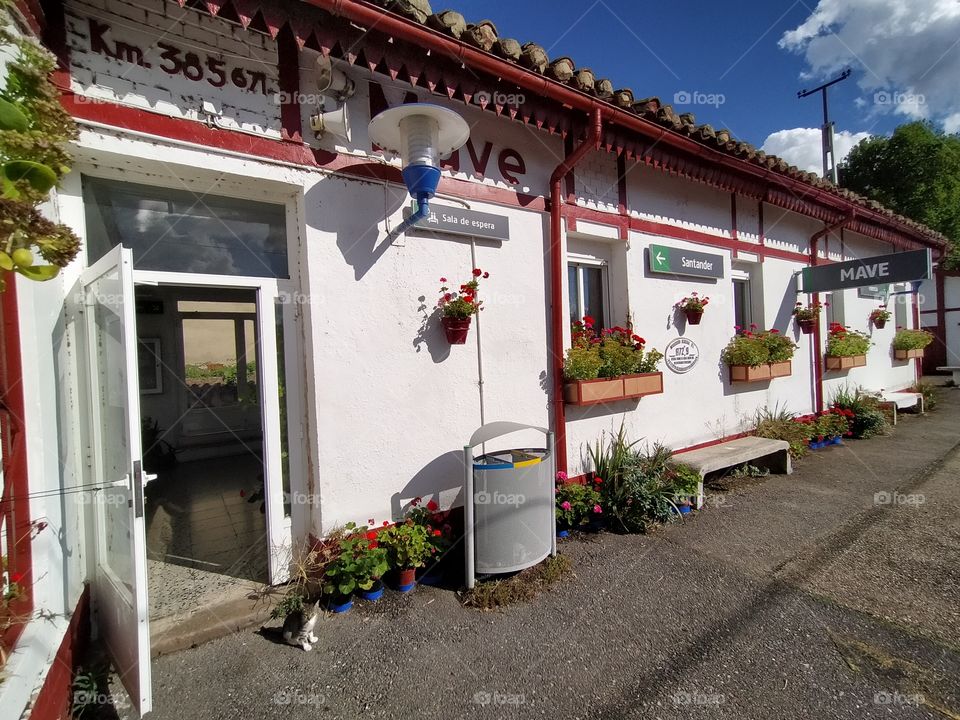 el único viajero...