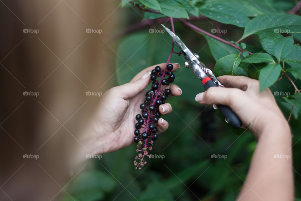 Working in the garden