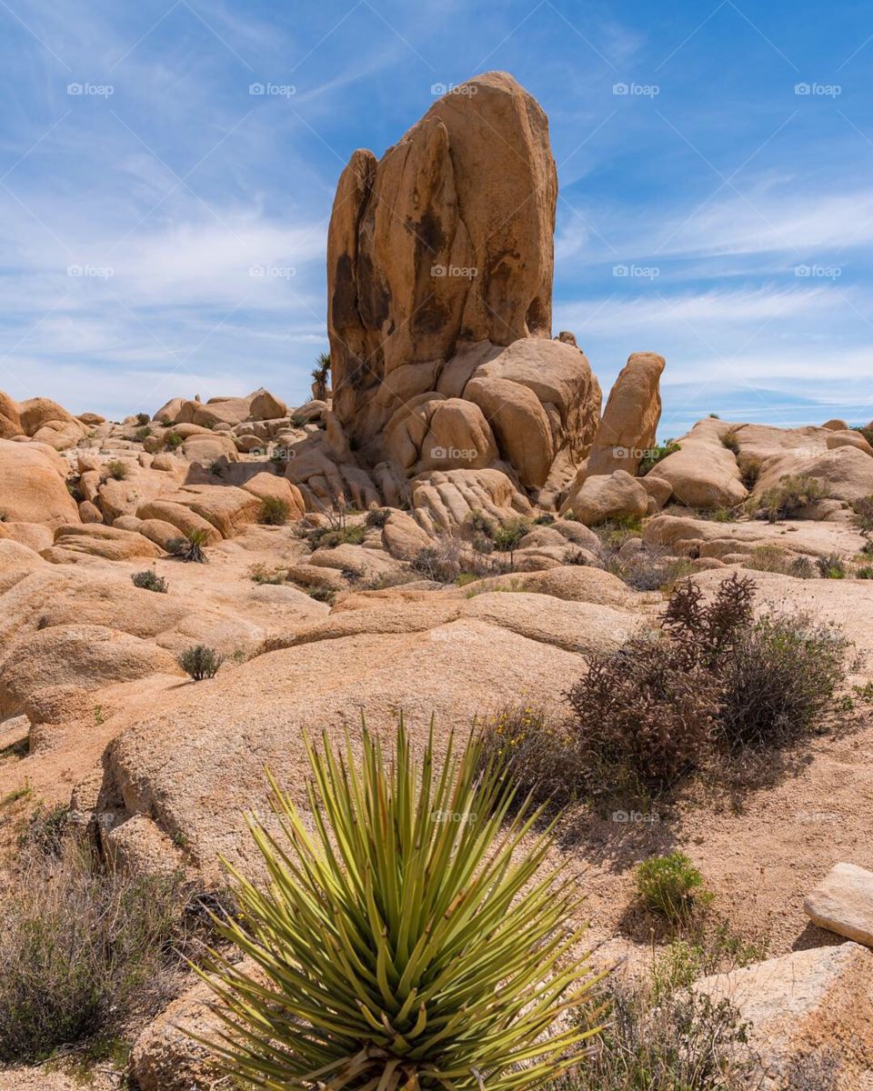 Rugged rocky desert landscape on a beautiful afternoon in Joshua Tree National Park, California 