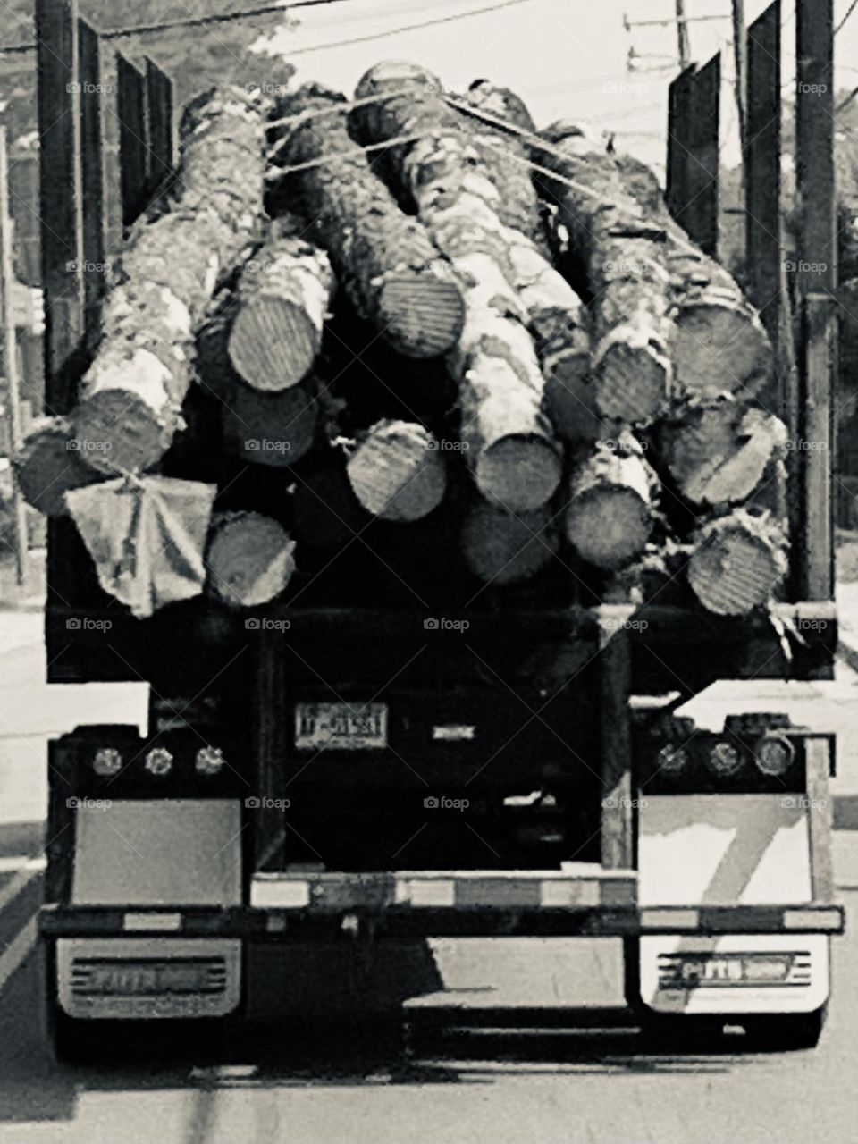 Logging truck B&w 