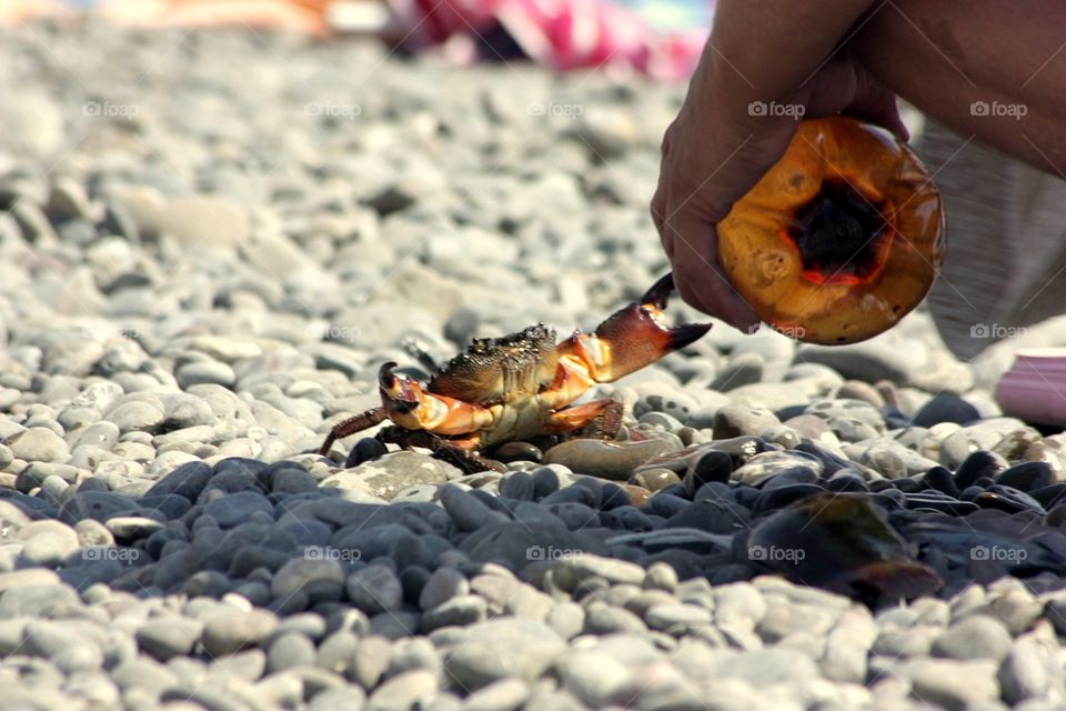 One, Outdoors, Water, People, Beach