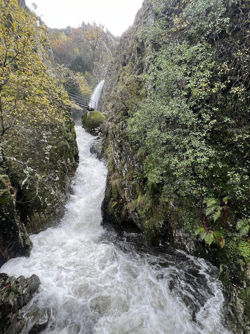 Nature view in Portugal 
