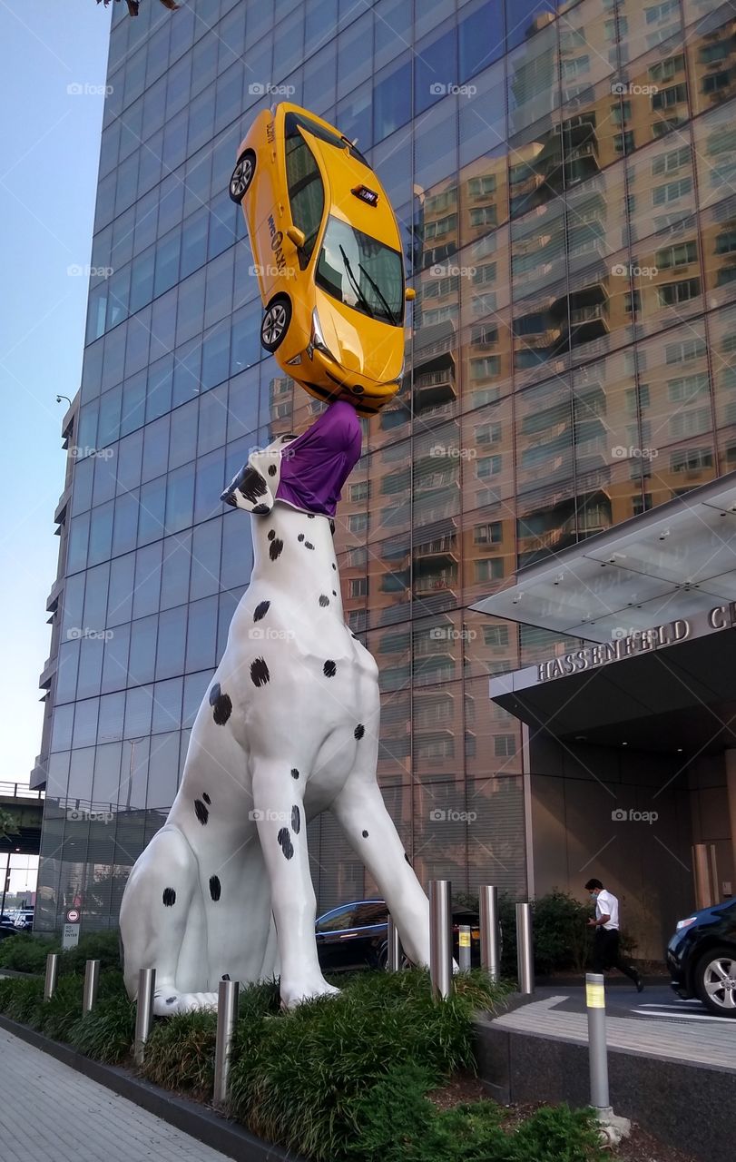 Famous Dog Sculpture at Children's Hospital NYC with Mask On