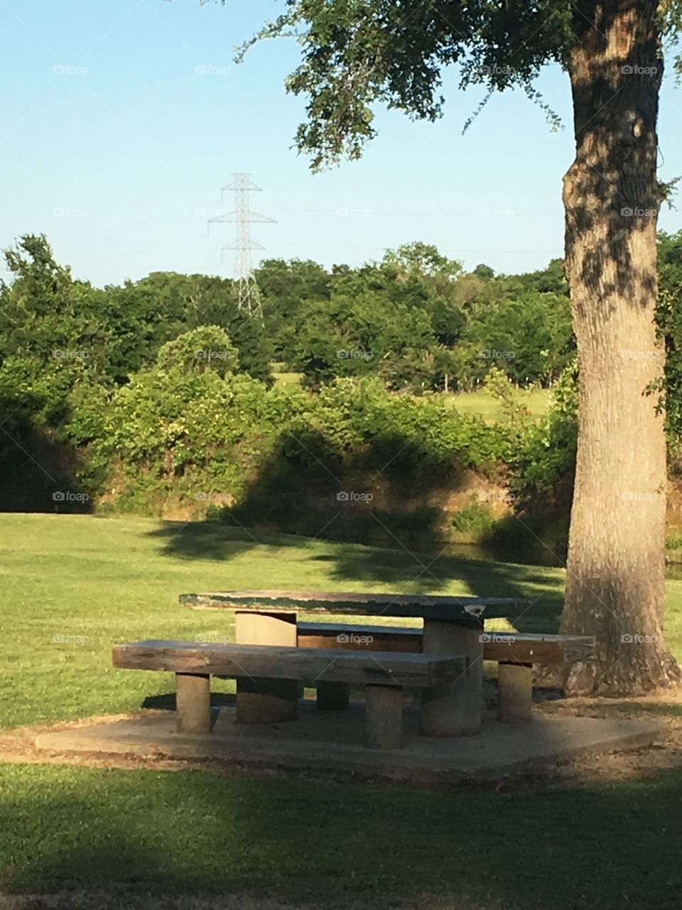 Picnic table in old park. 