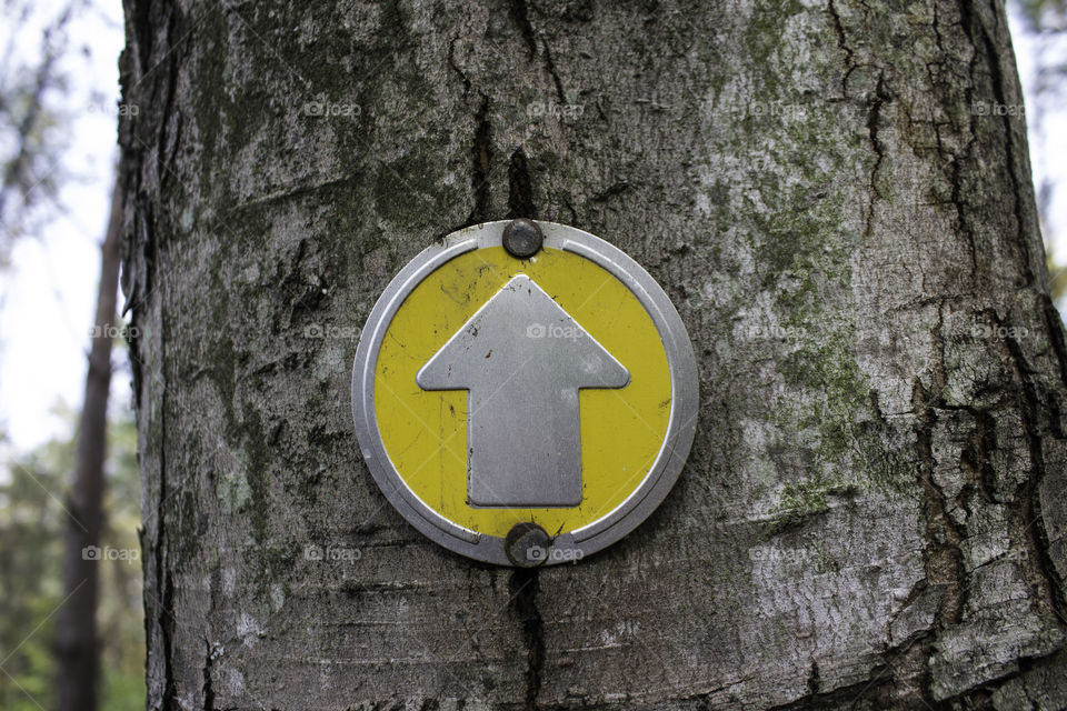 Direction sign in tree