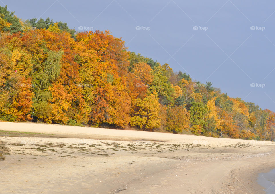 Autumn beach in Poland 