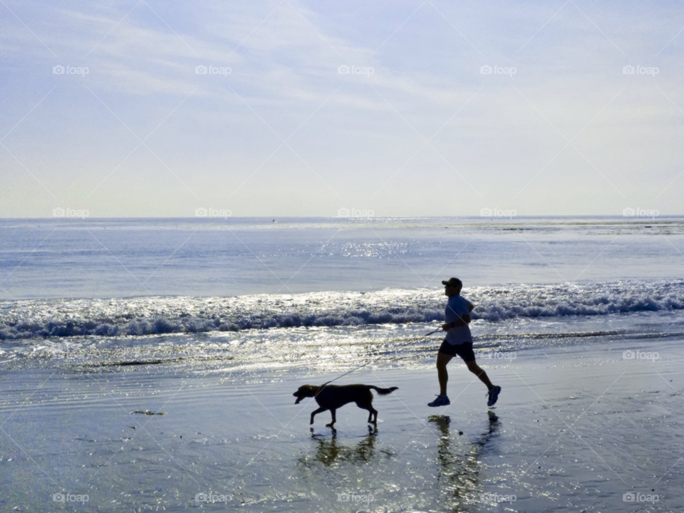 beach ocean dog man by mrpicasso2