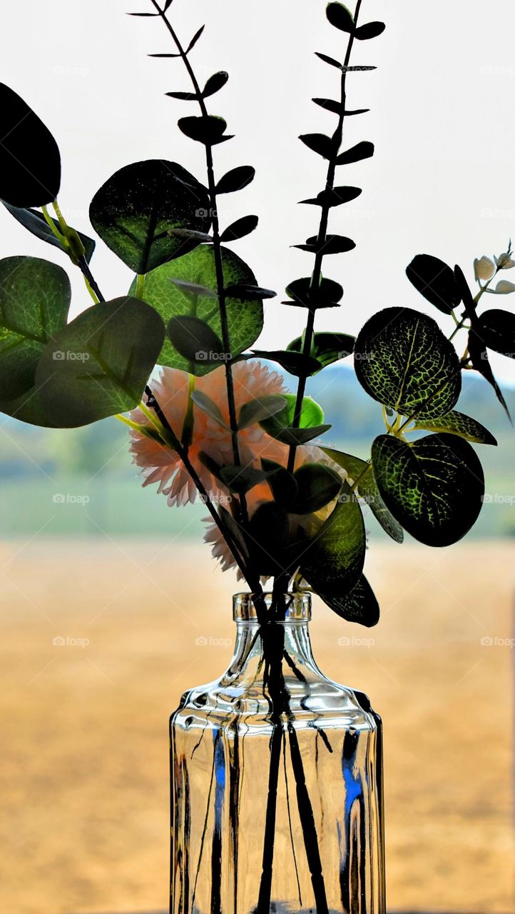 Flowers in a glass vase