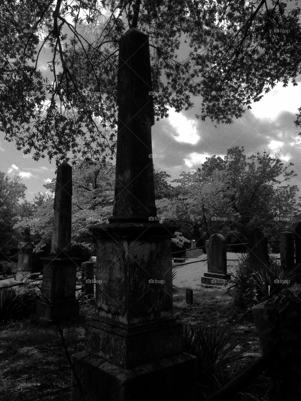 Cemetery, black and white, dead 