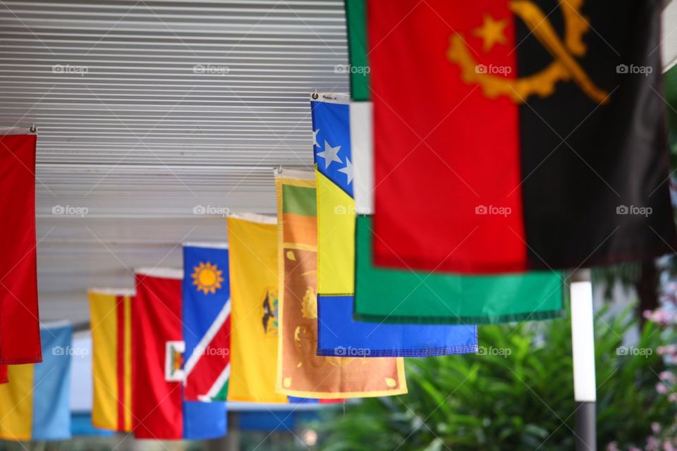 Flags of the world