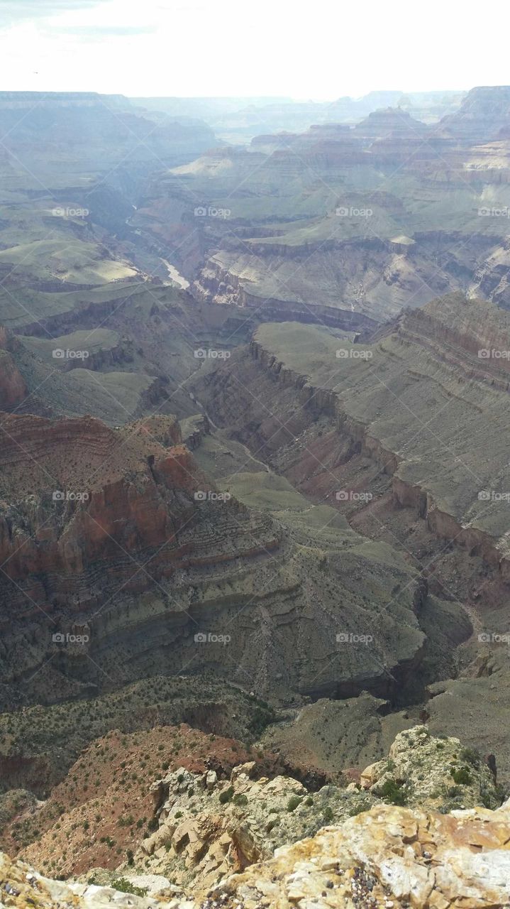 A view of the Grand Canyon