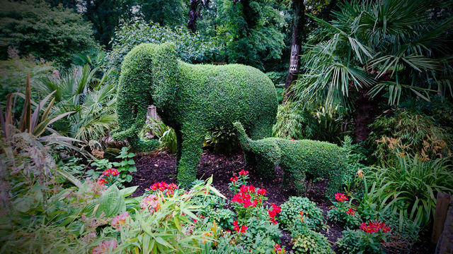 Green elephants.