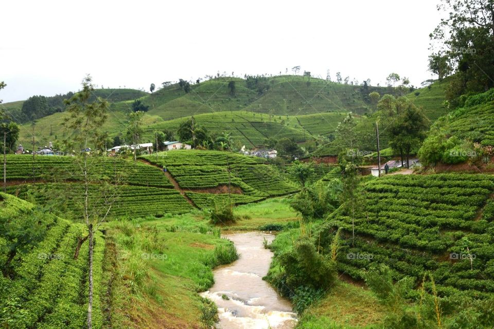 Beautiful landscape from Kandy to Ella train in Sri Lanka shot with my Nikon 