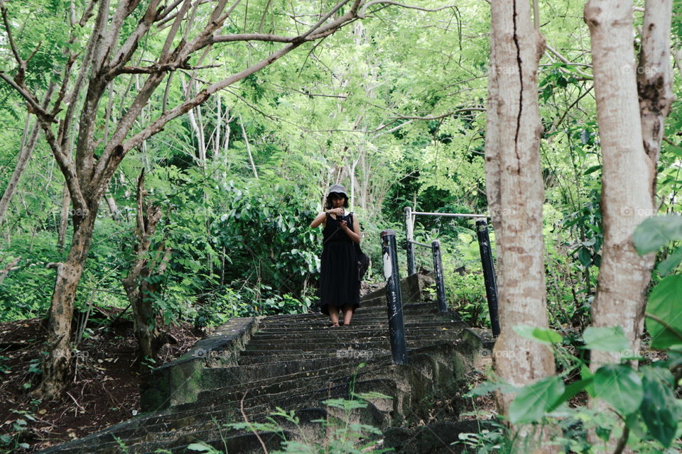 Wood, Tree, Nature, Leaf, Landscape