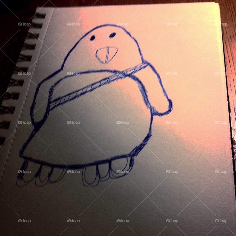 2nd Shot Of My Penguin Chatters Drawing.." 