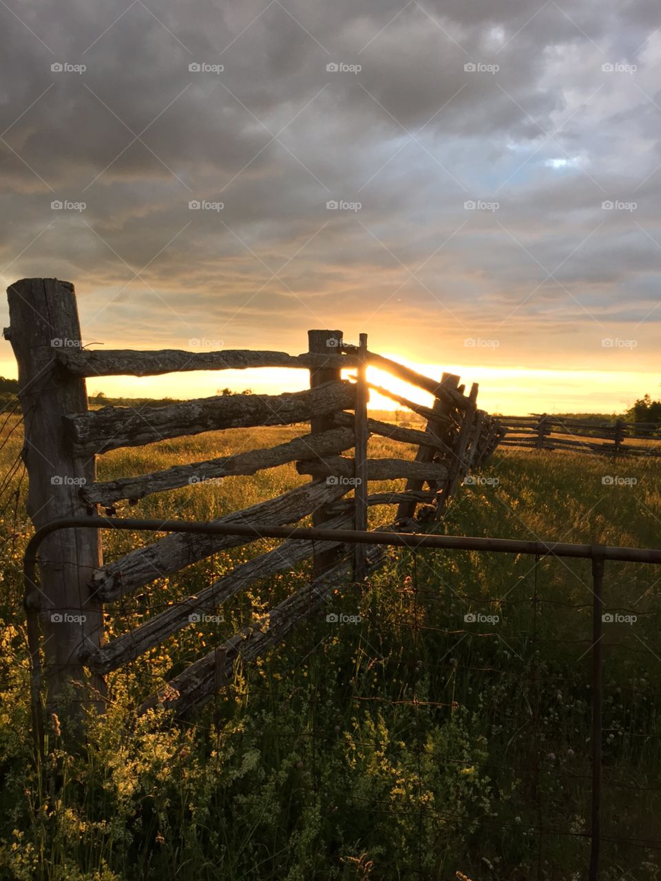 Backroad Love