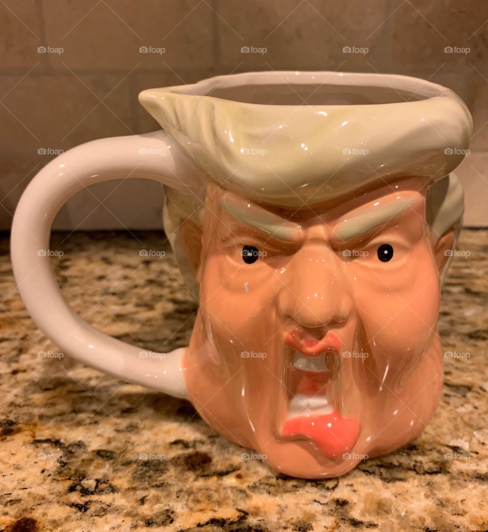 Donald Trump Mug