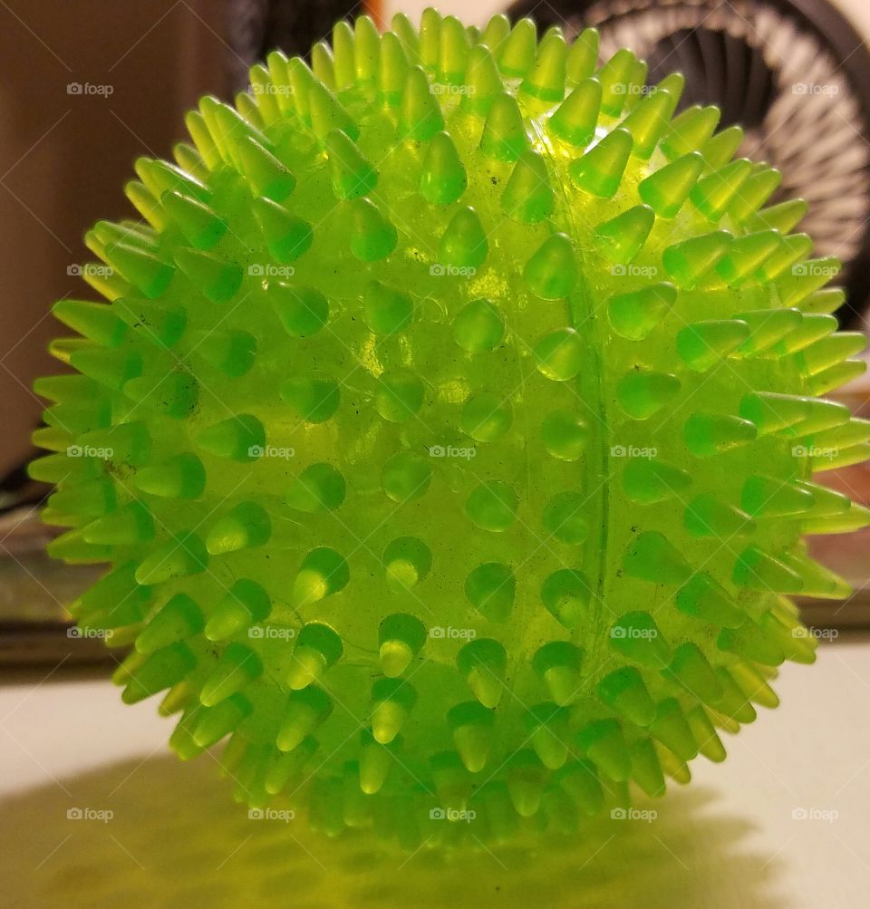 dog toy squeaky ball